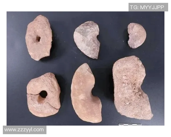 探索阿拉巴的魅力与文化遗产揭示其在历史与现代交融中的独特地位 探索阿拉巴的魅力与文化遗产揭示其在历史与现代交融中的独特地位