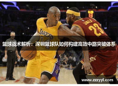 篮球战术解析：深圳篮球队如何构建高效中路突破体系