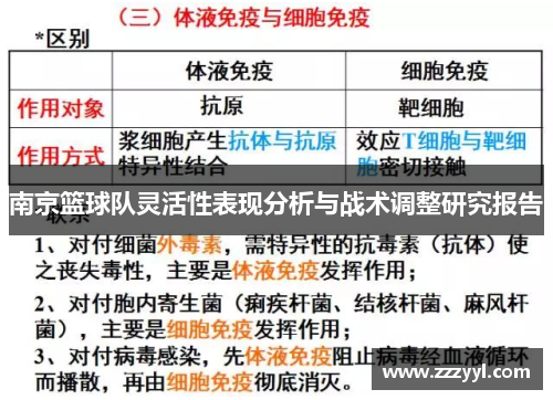 南京篮球队灵活性表现分析与战术调整研究报告